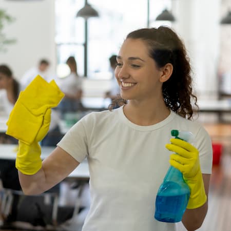 Cleaning Services Jericho