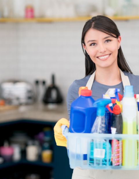 Regular Cleaning services